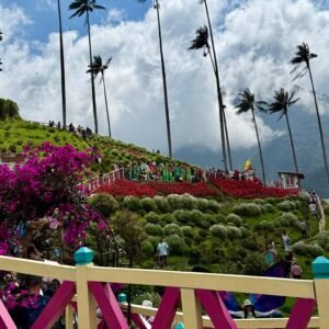 Salento+ Valle del Cocora desde Manizales