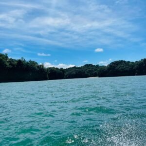 Avistamiento de ballenas en el Pacífico /Hostal Manigua